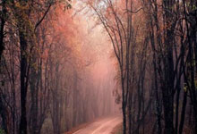 2024举重世锦赛，亚洲选手表现亮眼环球时报.