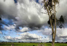 1-1！10人国安战平成都蓉城，恩加德乌染红，马宁遭5万名球迷问候.